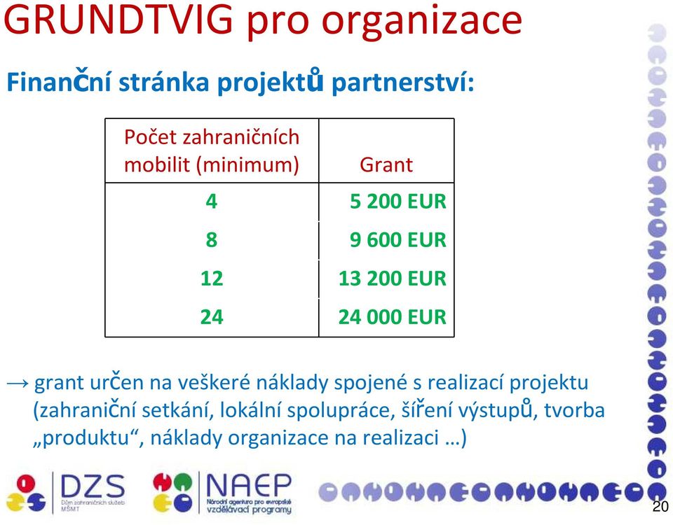 000 EUR grant určen na veškerénáklady spojenés realizacíprojektu