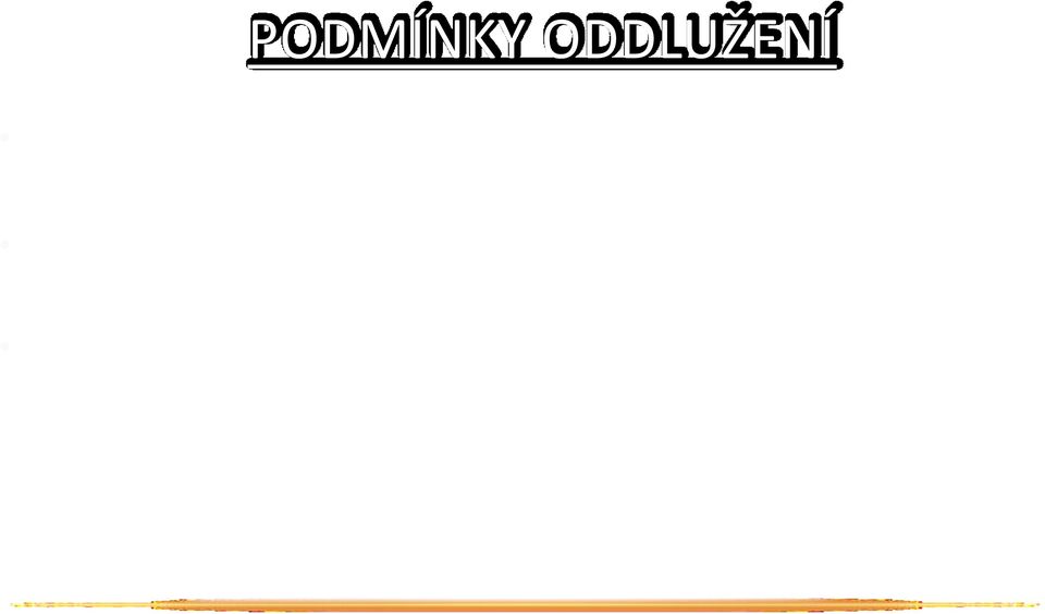 oprávněných za něho jednat, údaje o očekávaných příjmech dlužníka v následujících 5 letech, údaje o