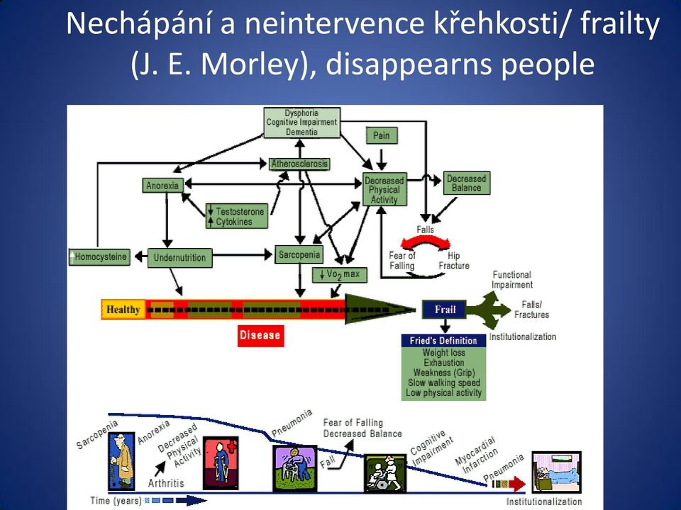 křehkosti/ frailty