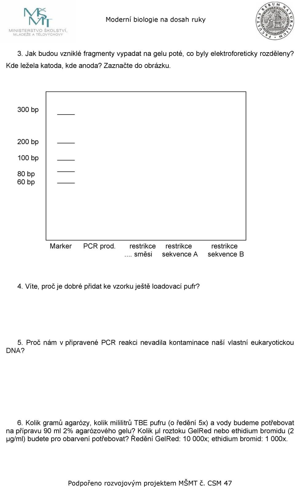 Víte, proč je dobré přidat ke vzorku ještě loadovací pufr? 5. Proč nám v připravené PCR reakci nevadila kontaminace naší vlastní eukaryotickou DNA? 6.