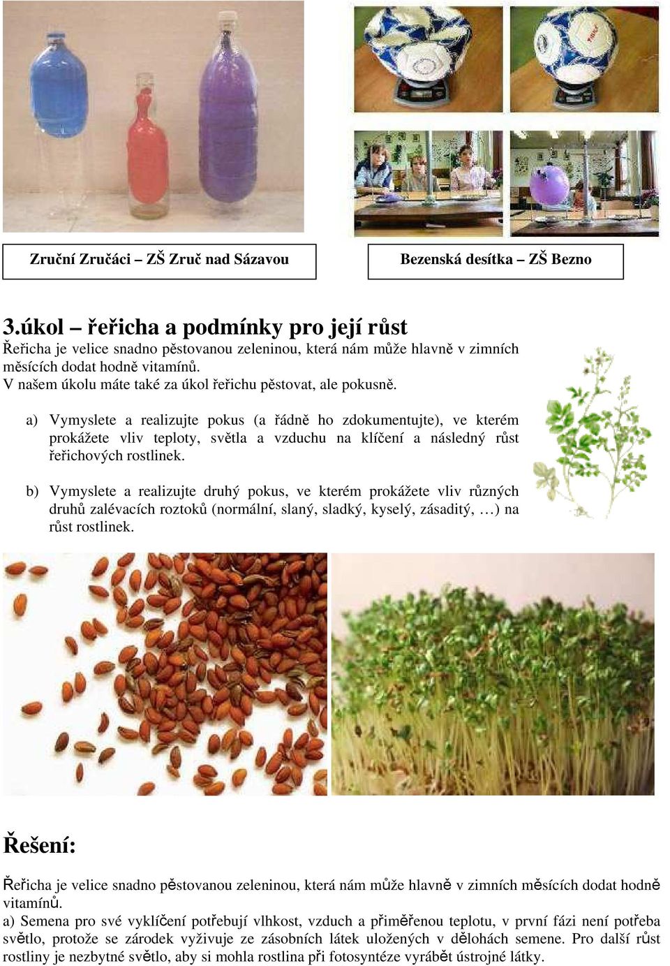 V našem úkolu máte také za úkol řeřichu pěstovat, ale pokusně.