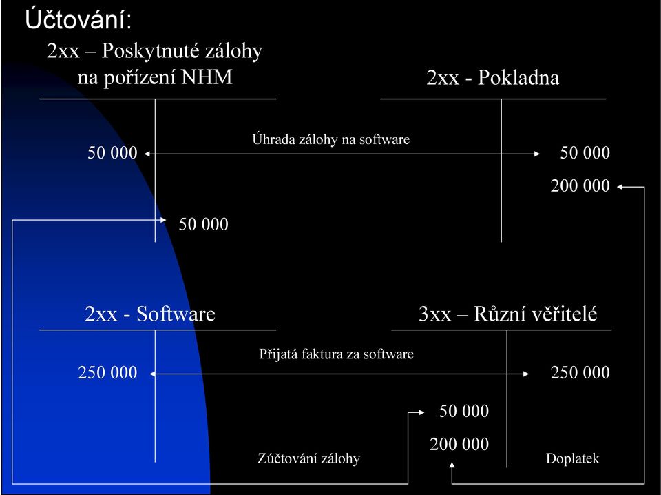 50 000 2xx - Software 3xx Různí věřitelé 250 000 Přijatá