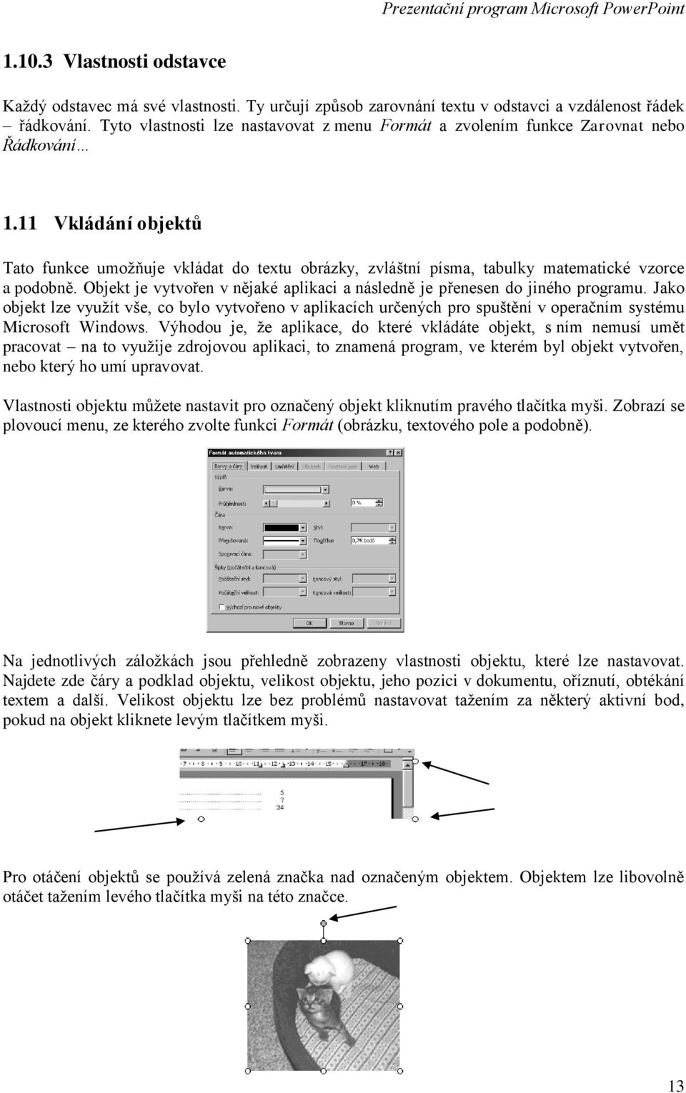 11 Vkládání objektů Tato funkce umožňuje vkládat do textu obrázky, zvláštní písma, tabulky matematické vzorce a podobně. Objekt je vytvořen v nějaké aplikaci a následně je přenesen do jiného programu.