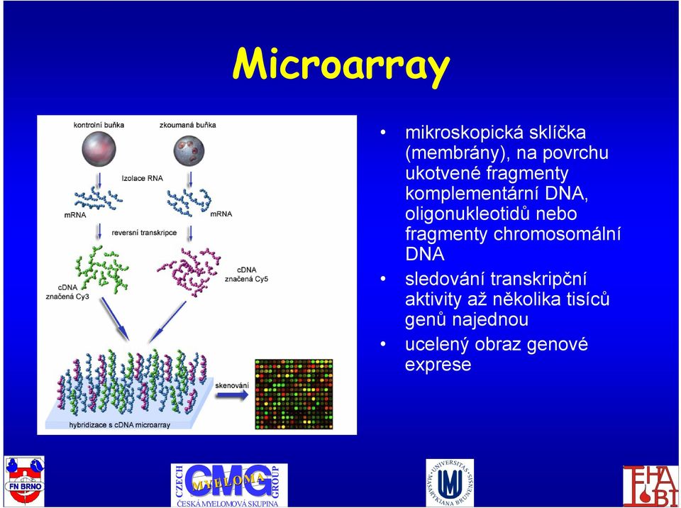 fragmenty chromosomální DNA sledování transkripční aktivity