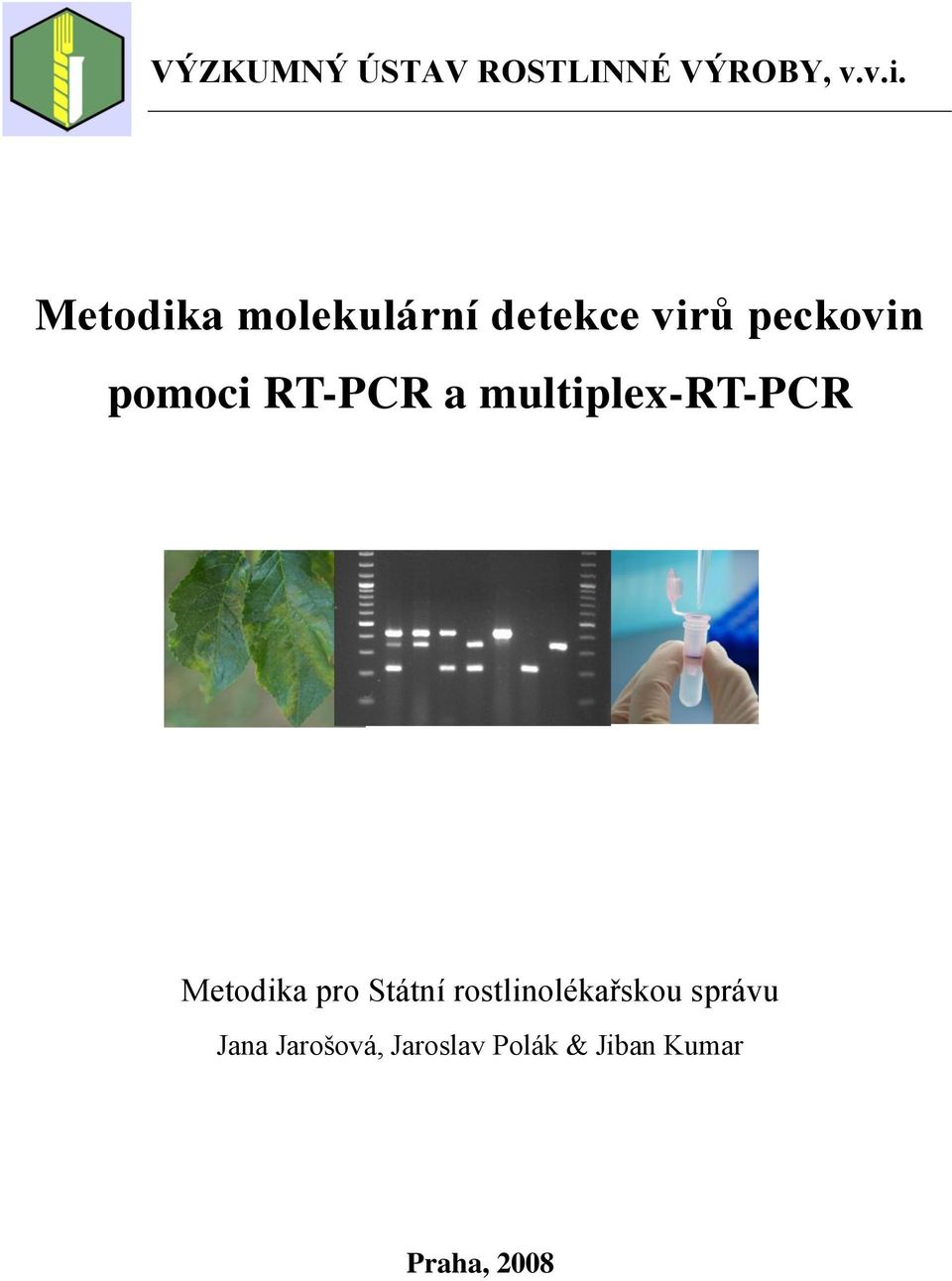 RT-PCR a multiplex-rt-pcr Metodika pro Státní