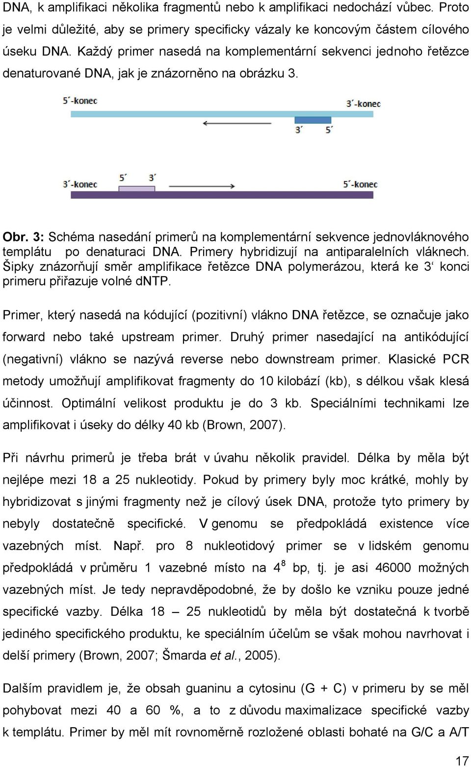 3: Schéma nasedání primerů na komplementární sekvence jednovláknového templátu po denaturaci DNA. Primery hybridizují na antiparalelních vláknech.