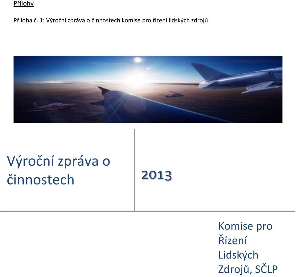 pro řízení lidských zdrojů Výroční