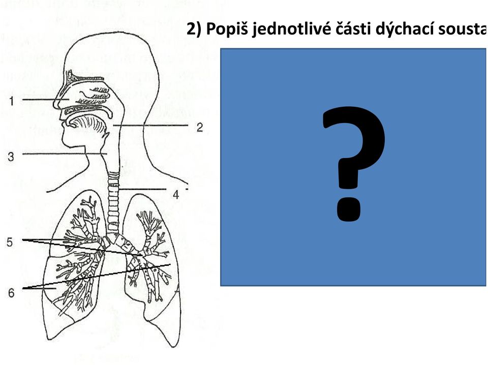 části