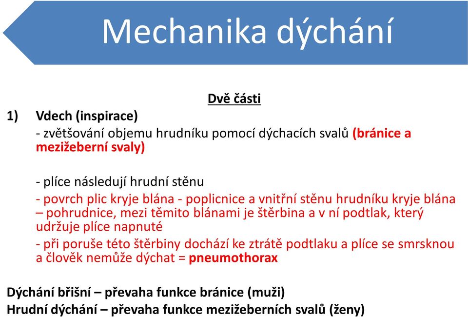 blánami je štěrbina a v ní podtlak, který udržuje plíce napnuté - při poruše této štěrbiny dochází ke ztrátě podtlaku a plíce se