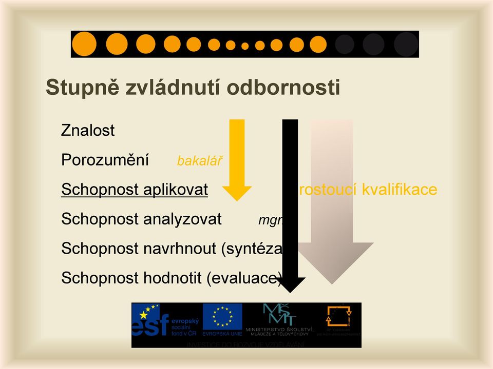 Schopnost analyzovat mgr.