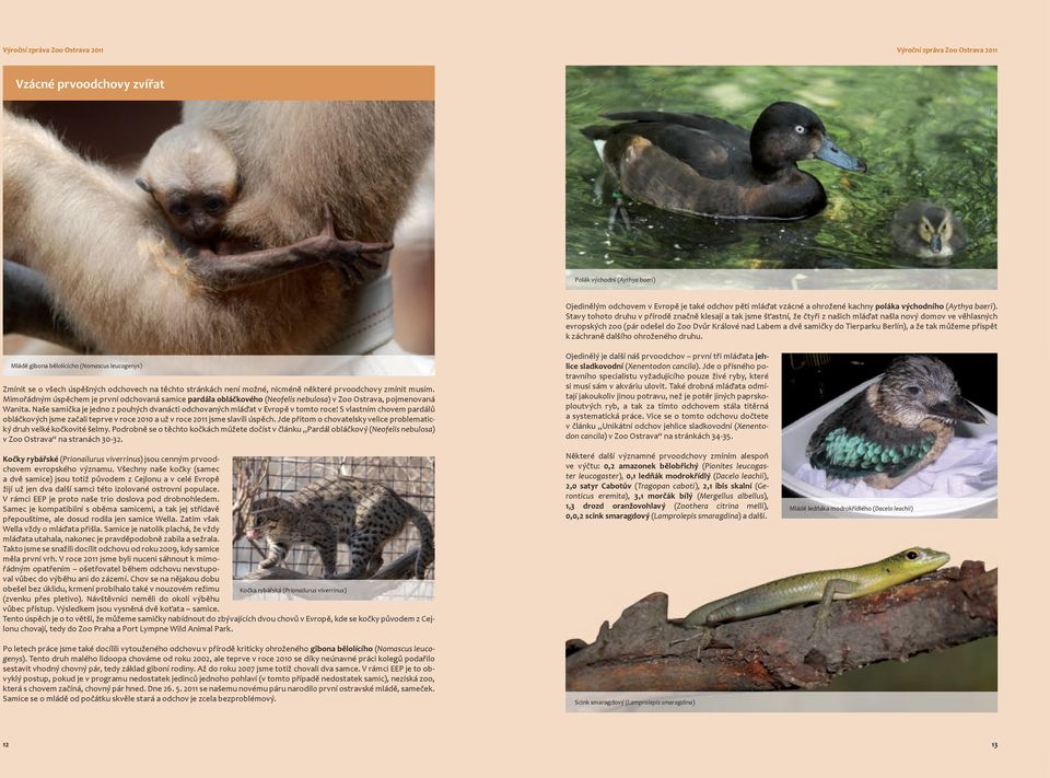 Tierparku Berlín), a že tak můžeme přispět k záchraně dalšího ohroženého druhu.