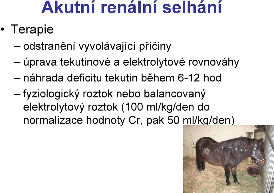 tekutin během 6-12 hod fyziologický roztok nebo balancovaný