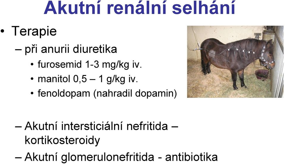 fenoldopam (nahradil dopamin) Akutní intersticiální