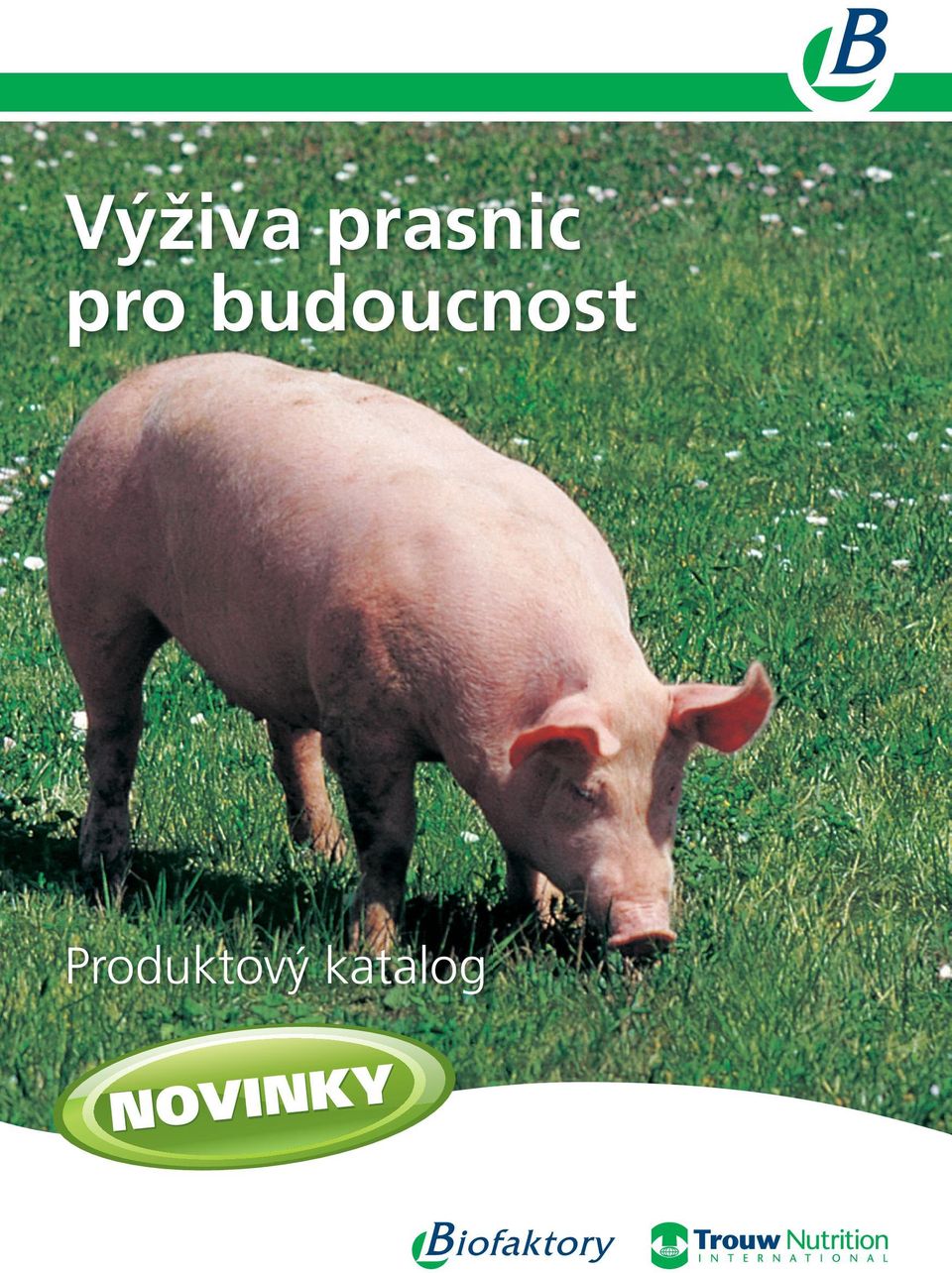 budoucnost