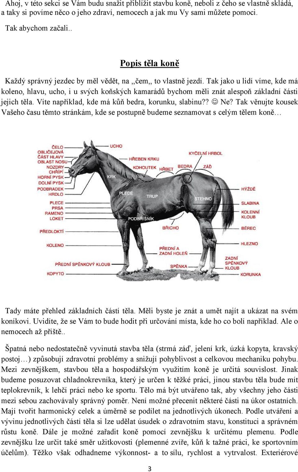 číslo 1 Březen 2013 Anatomie koní Sedla Parkurové ježdění Srandičky Výživa  koní Plemena Lidé kolem koní Soutěže CENA: 30 Kč - PDF Free Download