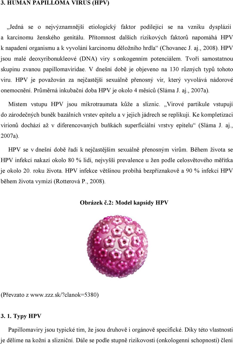 HPV jsou malé deoxyribonukleové (DNA) viry s onkogenním potenciálem. Tvoří samostatnou skupinu zvanou papillomaviridae. V dnešní době je objeveno na 130 různých typů tohoto viru.