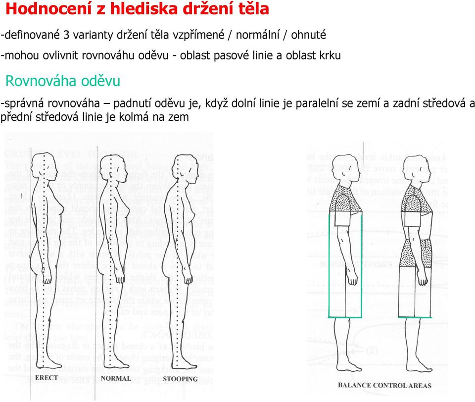 oblast krku Rovnováha oděvu -správná rovnováha padnutí oděvu je, když dolní