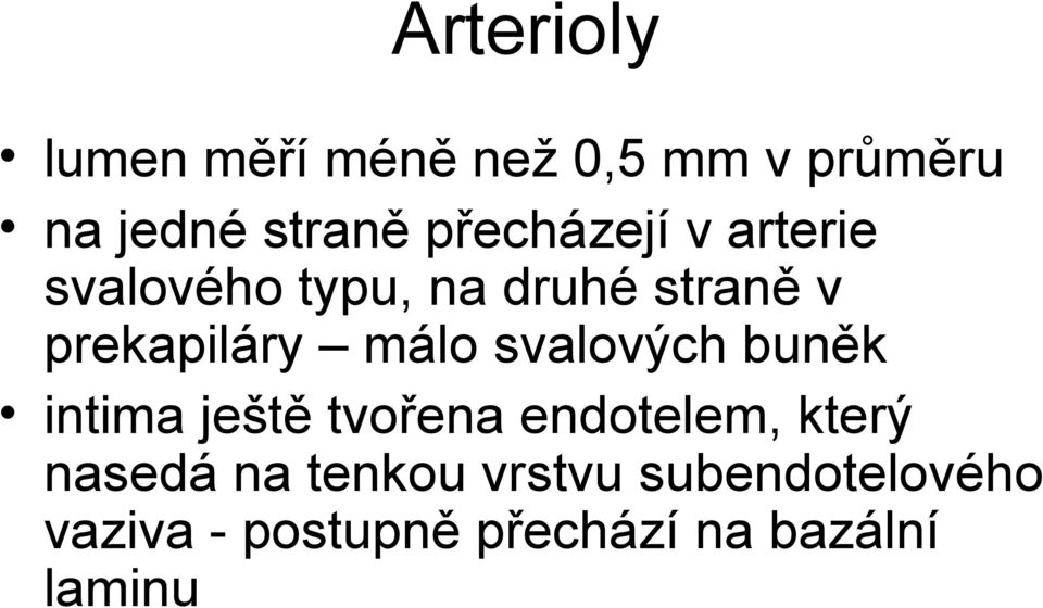 málo svalových buněk intima ještě tvořena endotelem, který nasedá na