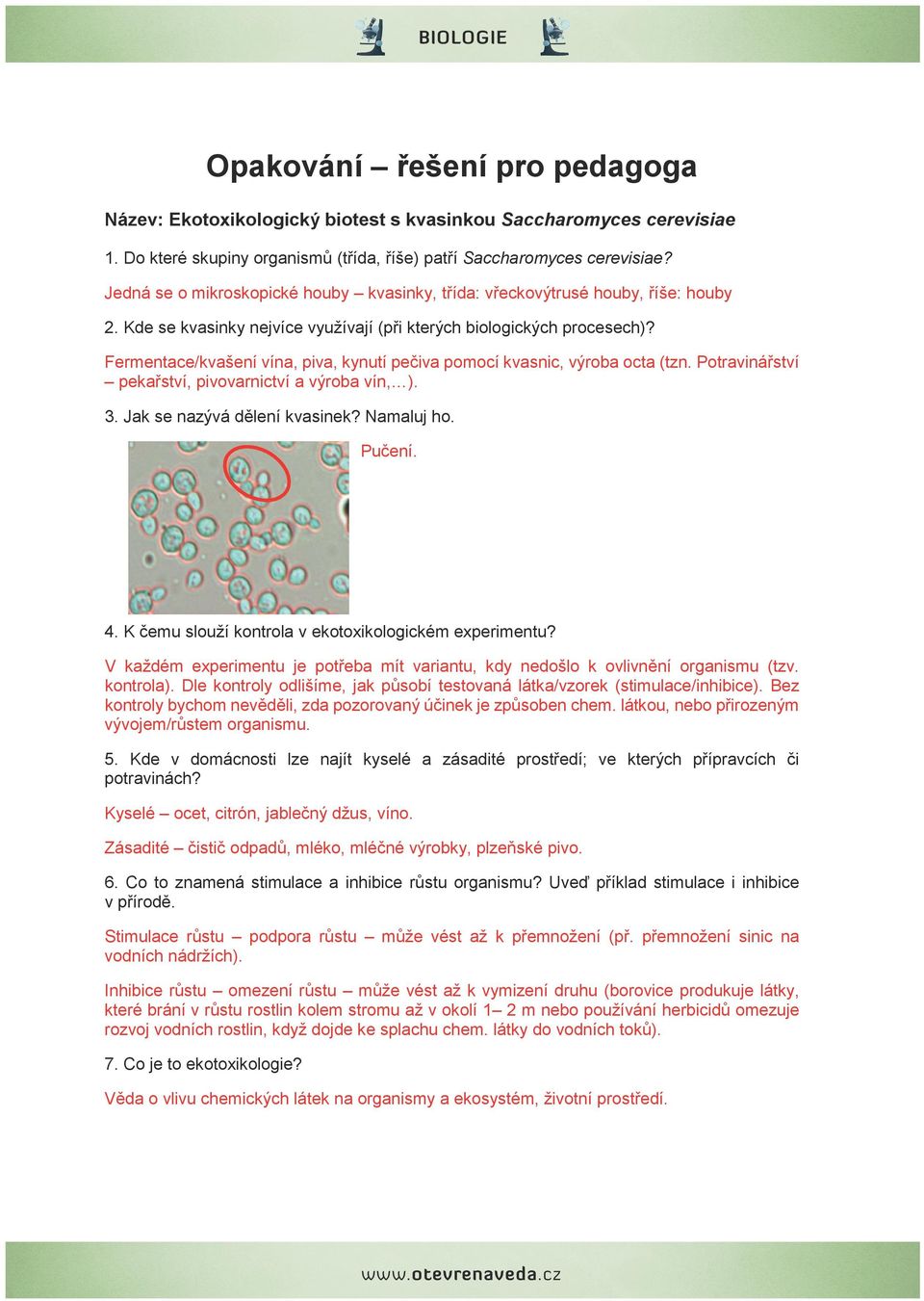 Fermentace/kvašení vína, piva, kynutí pečiva pomocí kvasnic, výroba octa (tzn. Potravinářství pekařství, pivovarnictví a výroba vín, ). 3. Jak se nazývá dělení kvasinek? Namaluj ho. Pučení. 4.