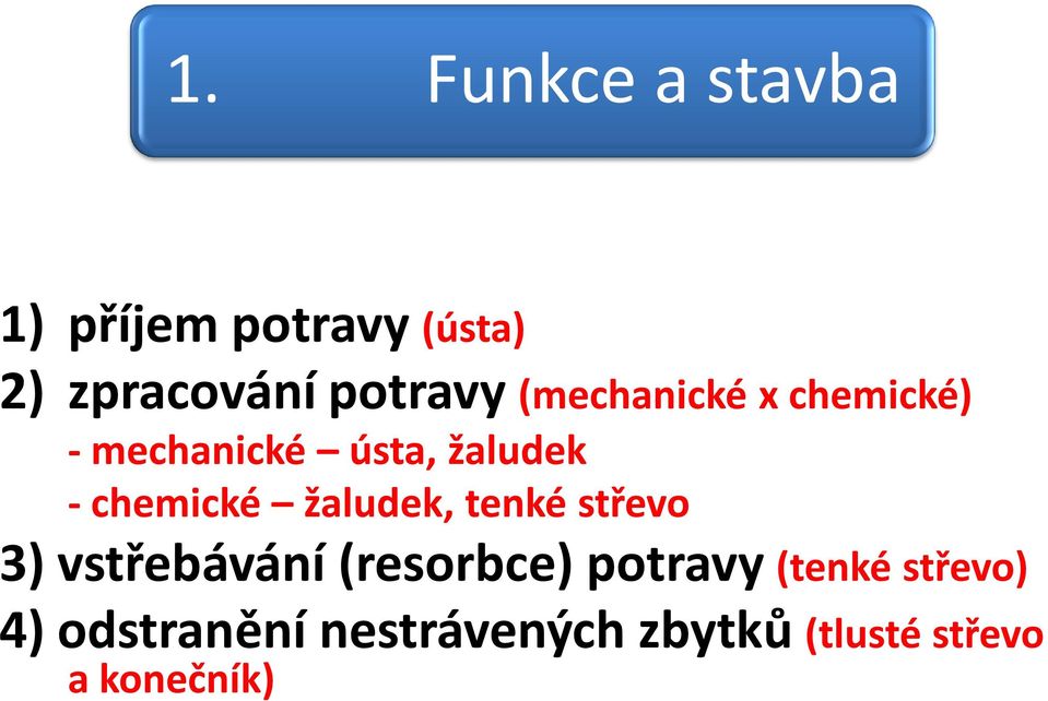 chemické žaludek, tenké střevo 3) vstřebávání (resorbce) potravy