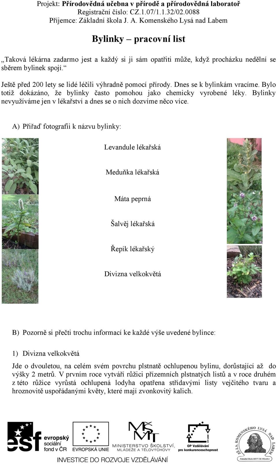 A) Přiřaď fotografii k názvu bylinky: Levandule lékařská Meduňka lékařská Máta peprná Šalvěj lékařská Řepík lékařský Divizna velkokvětá B) Pozorně si přečti trochu informací ke každé výše uvedené