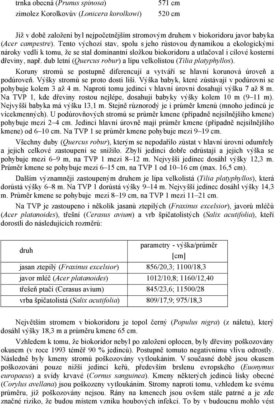 dub letní (Quercus robur) a lípu velkolistou (Tilia platyphyllos). Koruny stromů se postupně diferencují a vytváří se hlavní korunová úroveň a podúroveň. Výšky stromů se proto dosti liší.