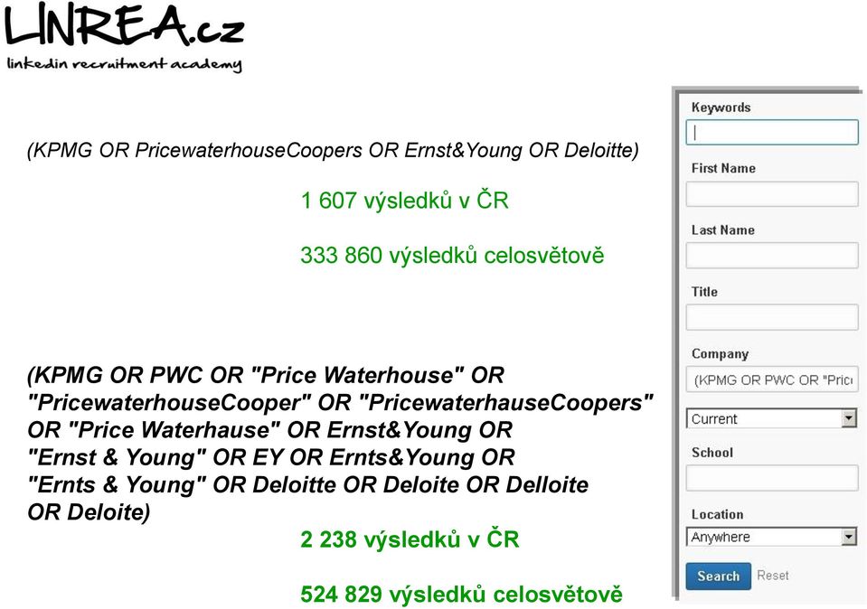 "PricewaterhauseCoopers" OR "Price Waterhause" OR Ernst&Young OR "Ernst & Young" OR EY OR