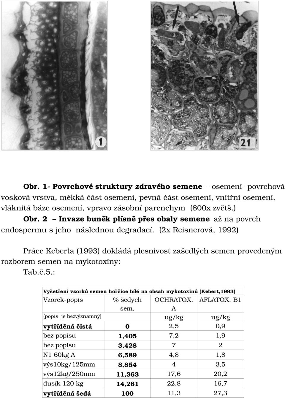 (2xreisnerová,1992) PráceKeberta(1993)dokládáplesnivostzašedlýchsemenprovedeným rozboremsemennamykotoxiny: Tab.č.5.