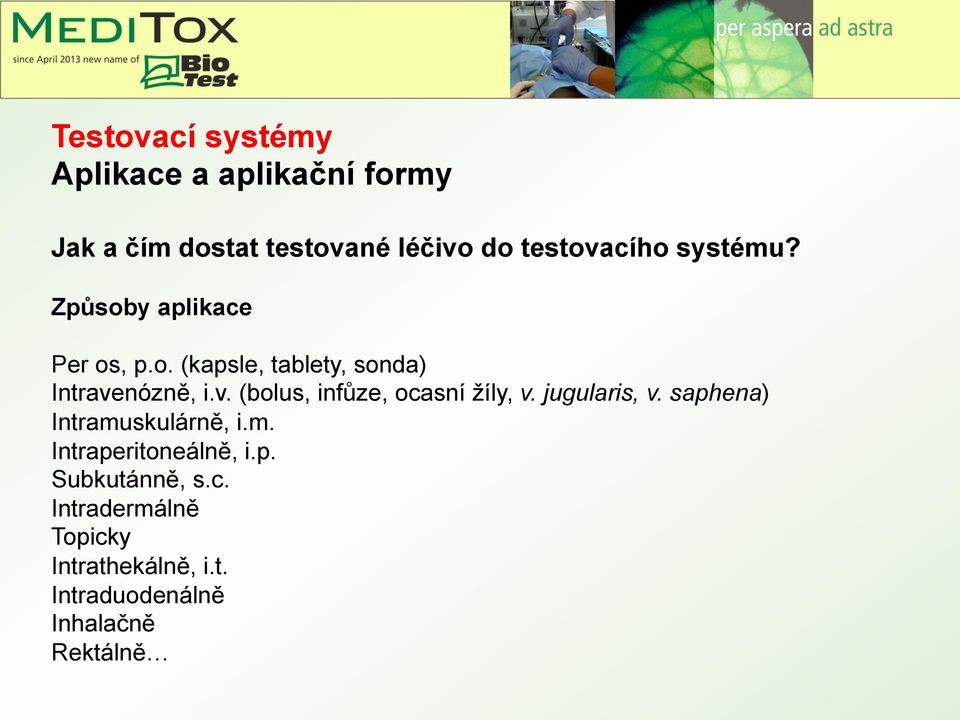 v. (bolus, infůze, ocasní žíly, v. jugularis, v. saphena) Intramuskulárně, i.m. Intraperitoneálně, i.