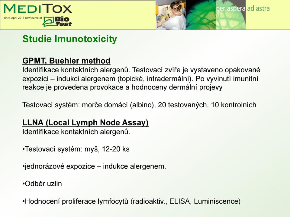 Po vyvinutí imunitní reakce je provedena provokace a hodnoceny dermální projevy Testovací systém: morče domácí (albino), 20
