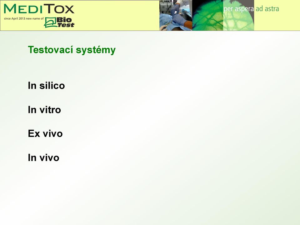 silico In
