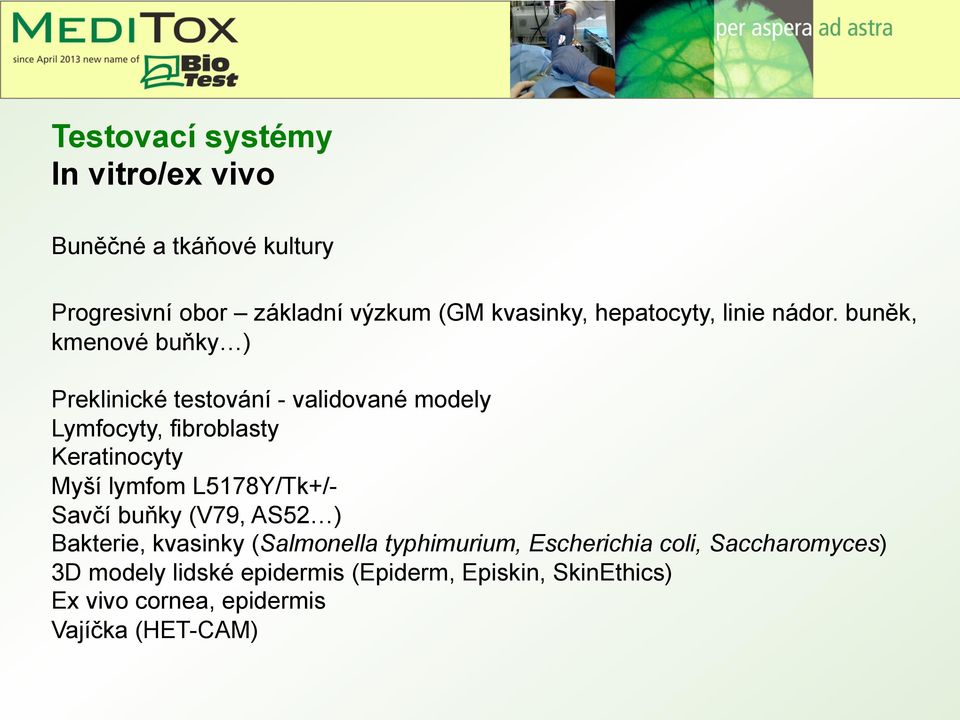 buněk, kmenové buňky ) Preklinické testování - validované modely Lymfocyty, fibroblasty Keratinocyty Myší lymfom