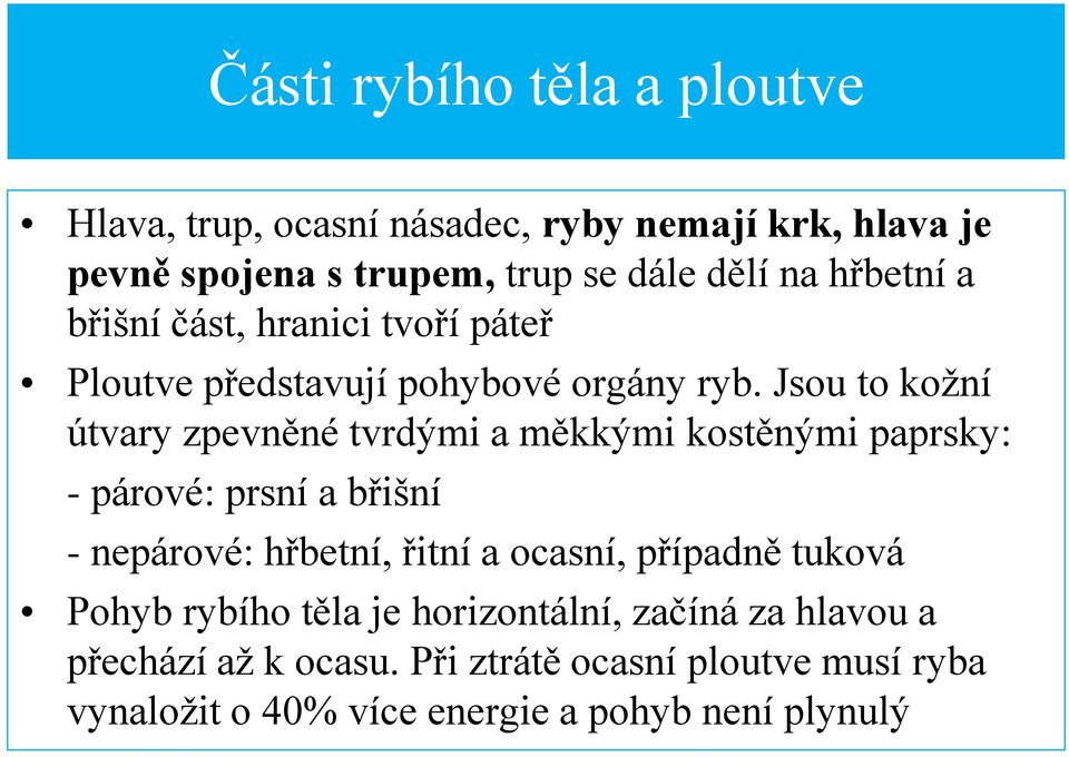 Jsou to koţní útvary zpevněné tvrdými a měkkými kostěnými paprsky: - párové: prsní a břišní - nepárové: hřbetní, řitní a ocasní,