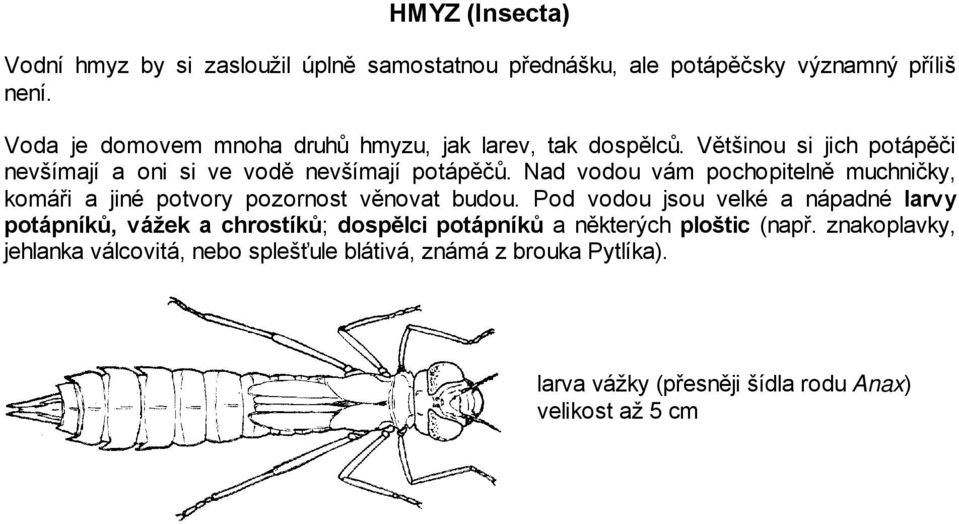 Nad vodou vám pochopitelně muchničky, komáři a jiné potvory pozornost věnovat budou.