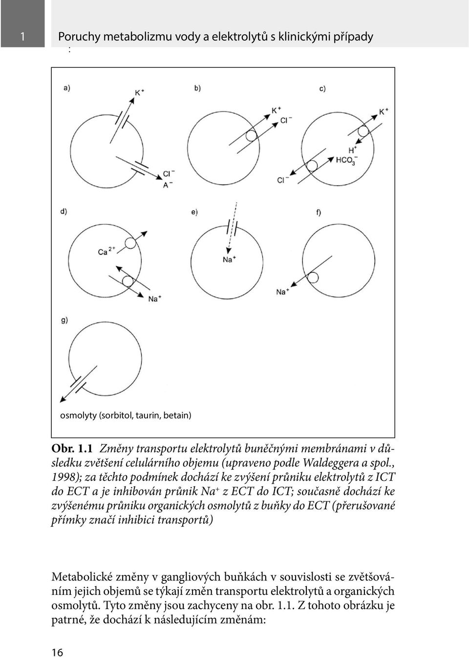 , 1998); za těchto podmínek dochází ke zvýšení průniku elektrolytů z ICT do ECT a je inhibován průnik Na + z ECT do ICT; současně dochází ke zvýšenému průniku organických osmolytů