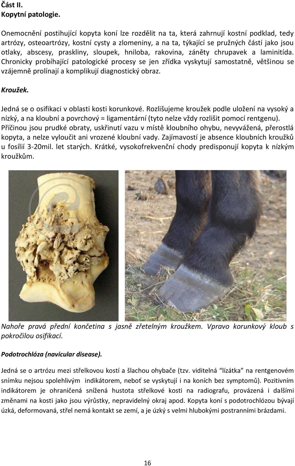abscesy, praskliny, sloupek, hniloba, rakovina, záněty chrupavek a laminitída.