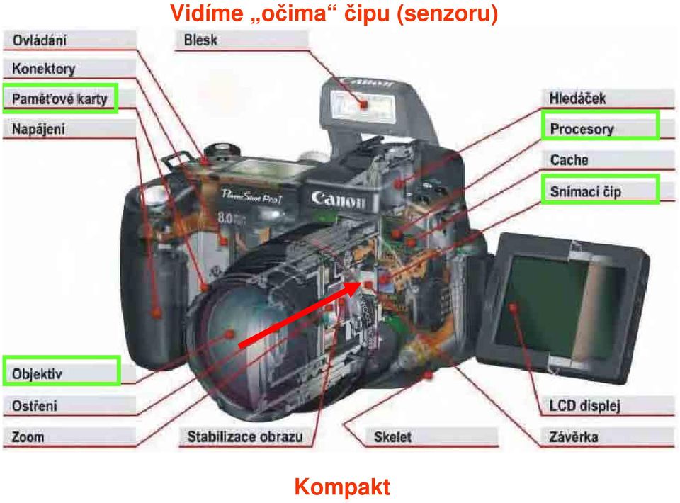 čipu