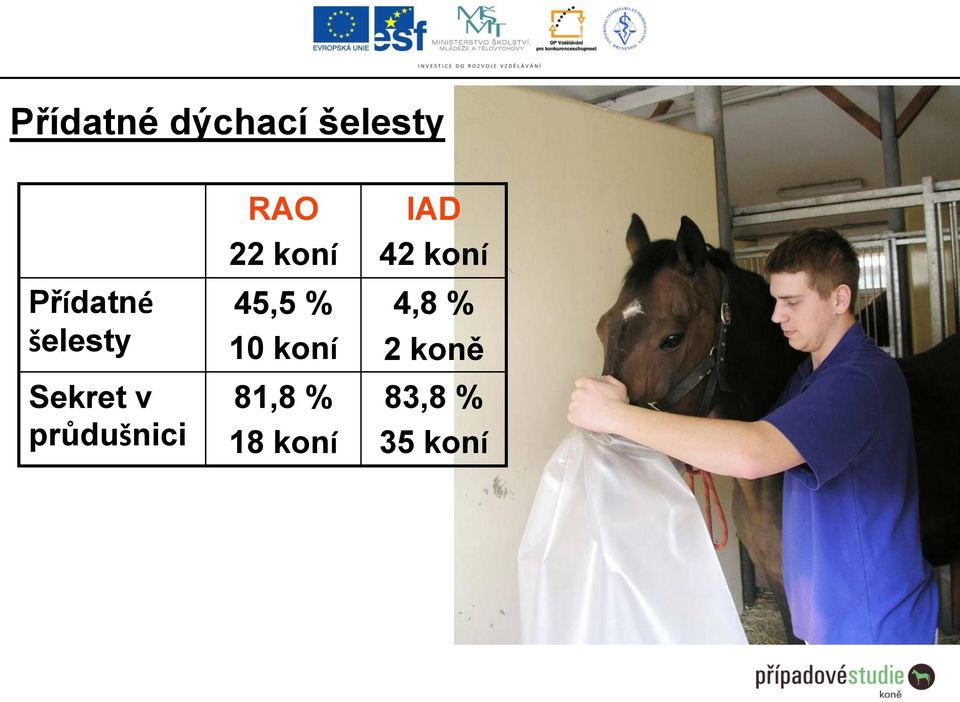 koní 45,5 % 10 koní 81,8 % 18 koní