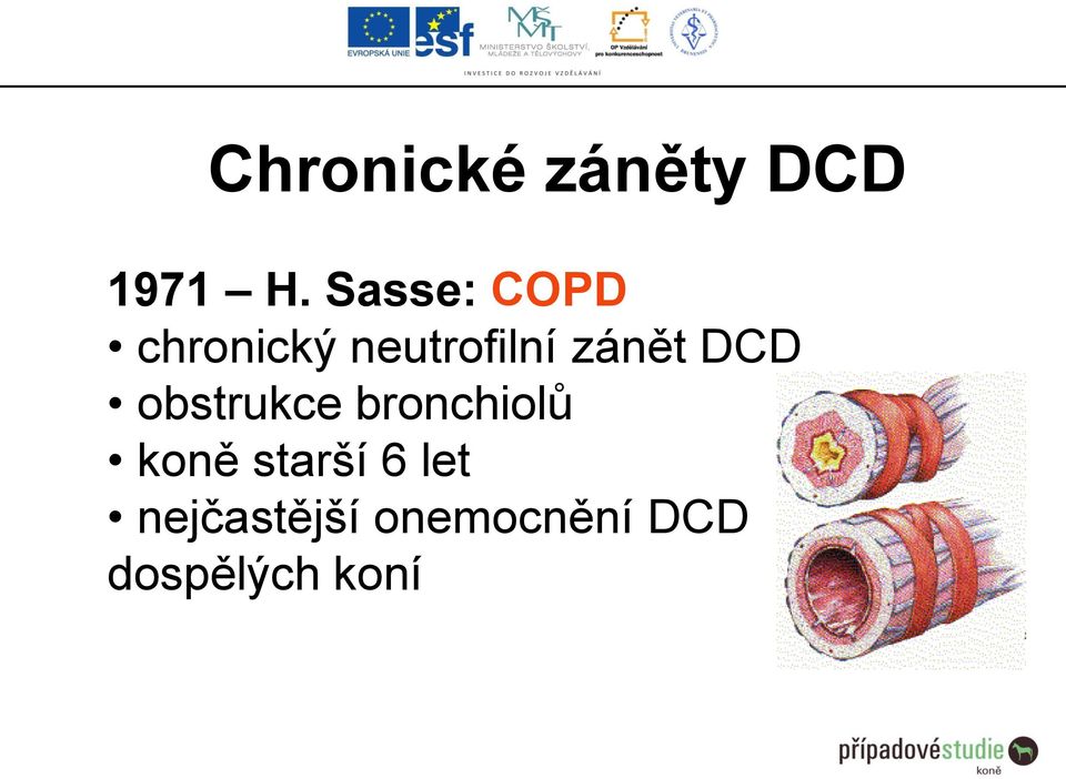 zánět DCD obstrukce bronchiolů koně