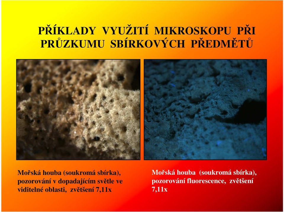 dopadajícím světle ve viditelné oblasti, zvětšení 7,11x
