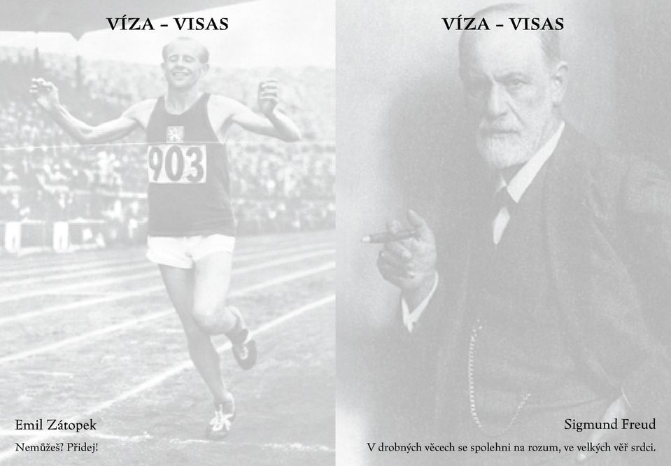 Sigmund Freud V drobných