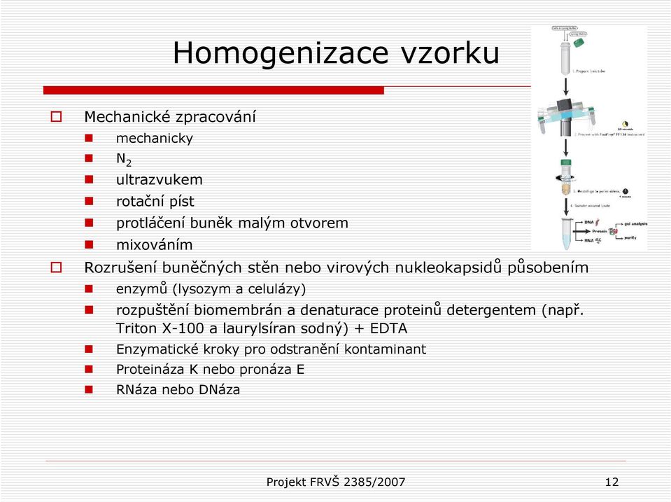 rozpuštění biomembrán a denaturace proteinů detergentem (např.