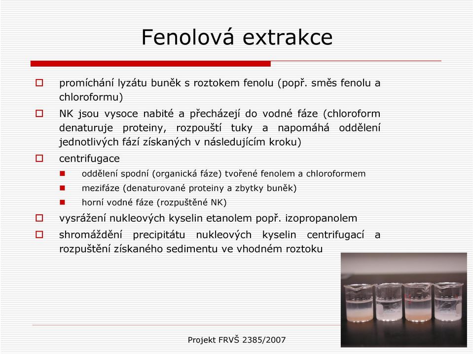 jednotlivých fází získaných v následujícím kroku) centrifugace oddělení spodní (organická fáze) tvořené fenolem a chloroformem mezifáze (denaturované