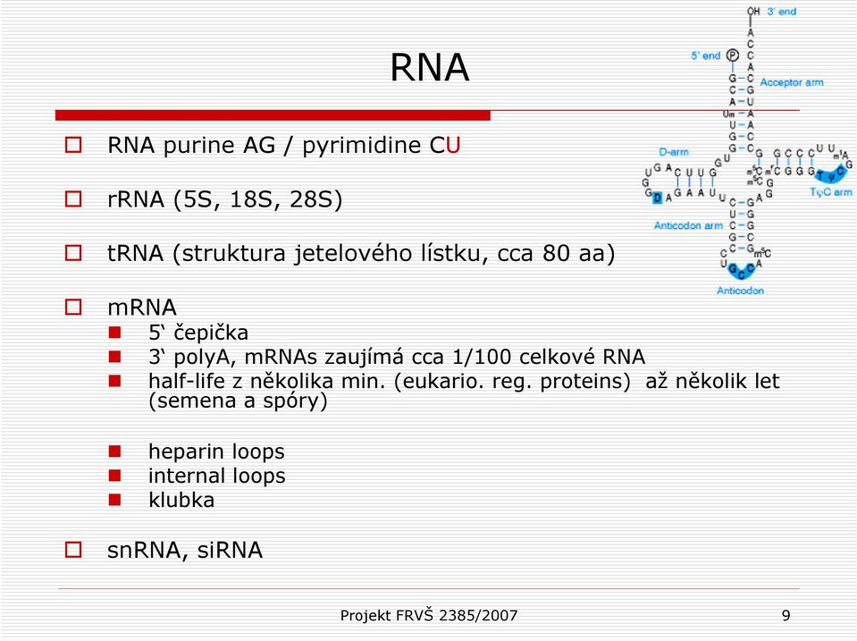 celkové RNA half-life z několika min. (eukario. reg.