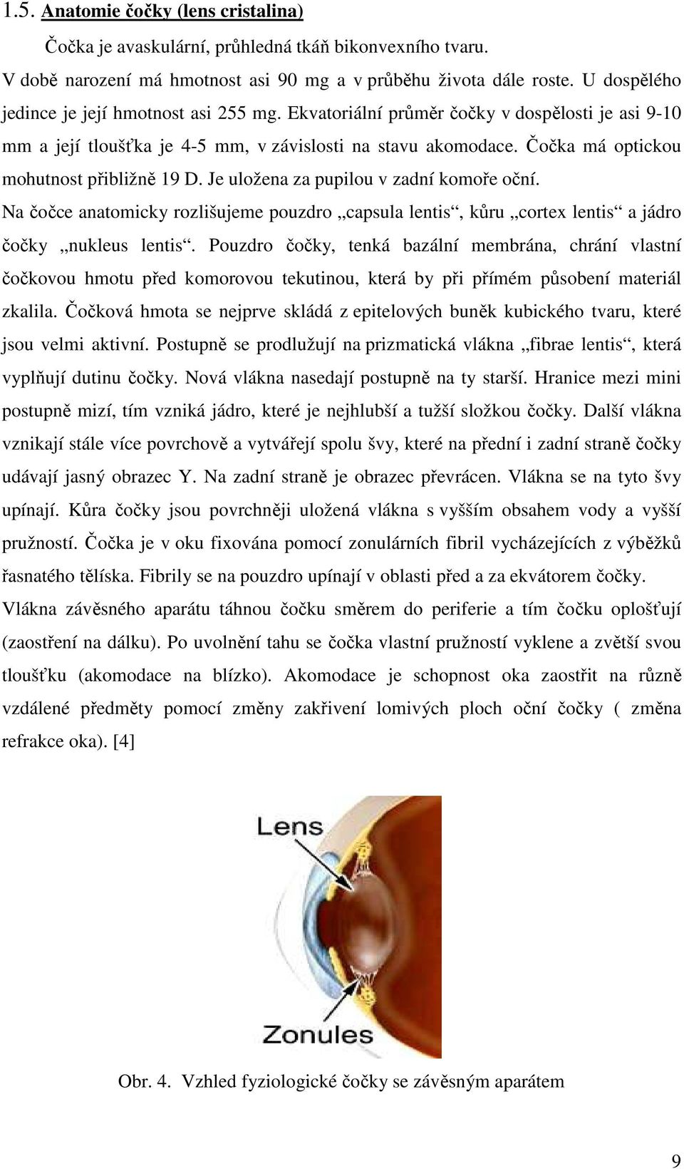 Čočka má optickou mohutnost přibližně 19 D. Je uložena za pupilou v zadní komoře oční. Na čočce anatomicky rozlišujeme pouzdro capsula lentis, kůru cortex lentis a jádro čočky nukleus lentis.