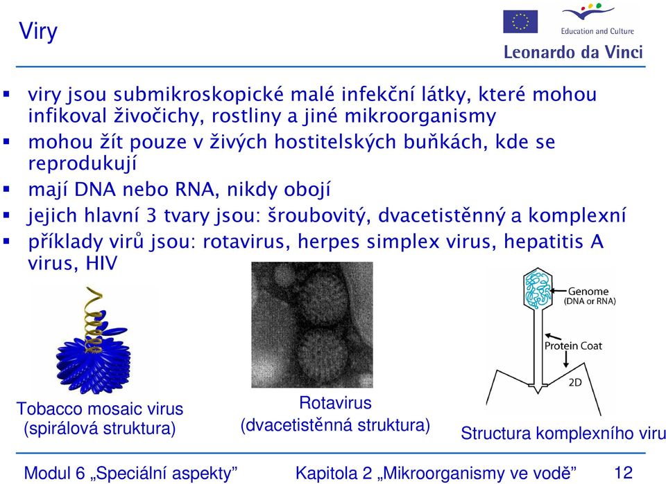 dvacetistěnný a komplexní příklady virů jsou: rotavirus, herpes simplex virus, hepatitis A virus, HIV Tobacco mosaic virus