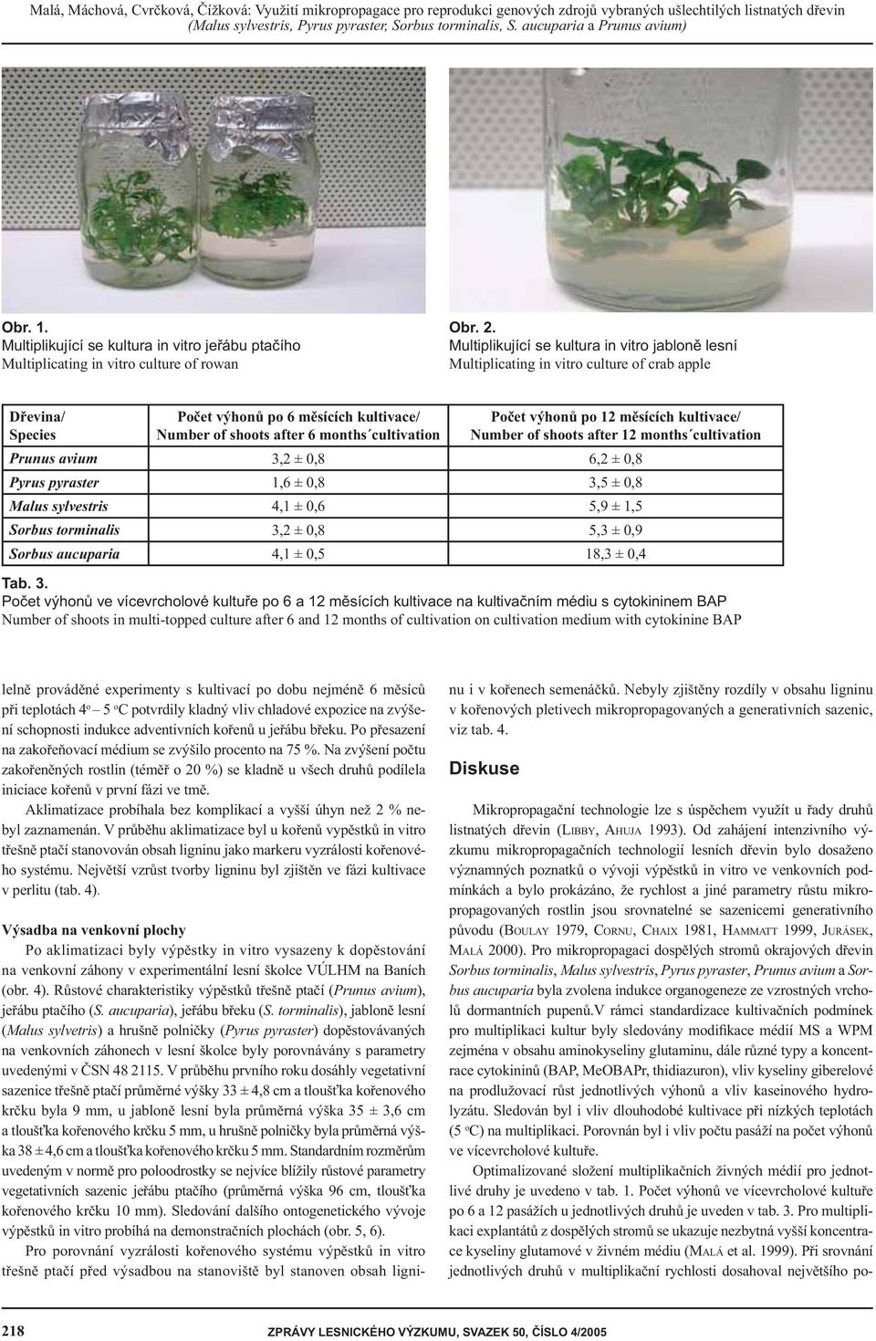. Multiplikující se kultura in vitro jabloně lesní Multiplicating in vitro culture of crab apple Dřevina/ Species Počet výhonů po měsících kultivace/ Number of shoots after months cultivation Počet