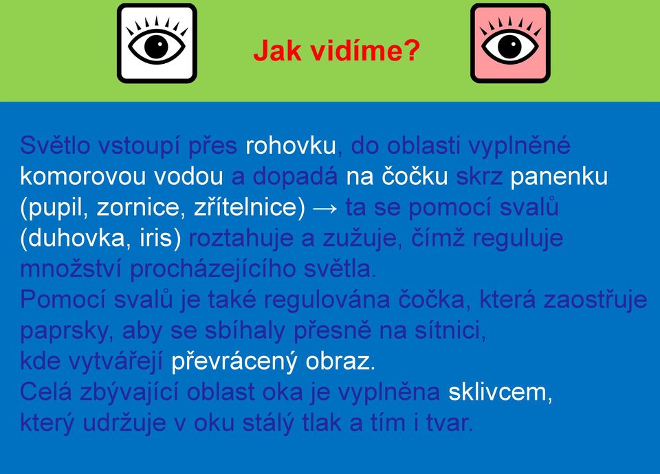 zřítelnice) ta se pomocí svalů (duhovka, iris) roztahuje a zužuje, čímž reguluje množství procházejícího světla.