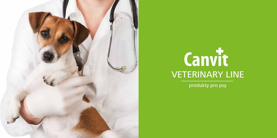 VETERINARY