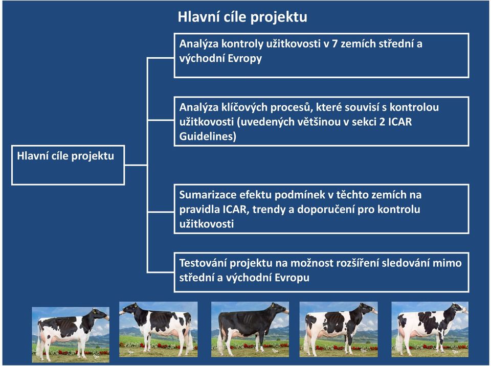 2 ICAR Guidelines) Sumarizace efektu podmínek v těchto zemích na pravidla ICAR, trendy a doporučení